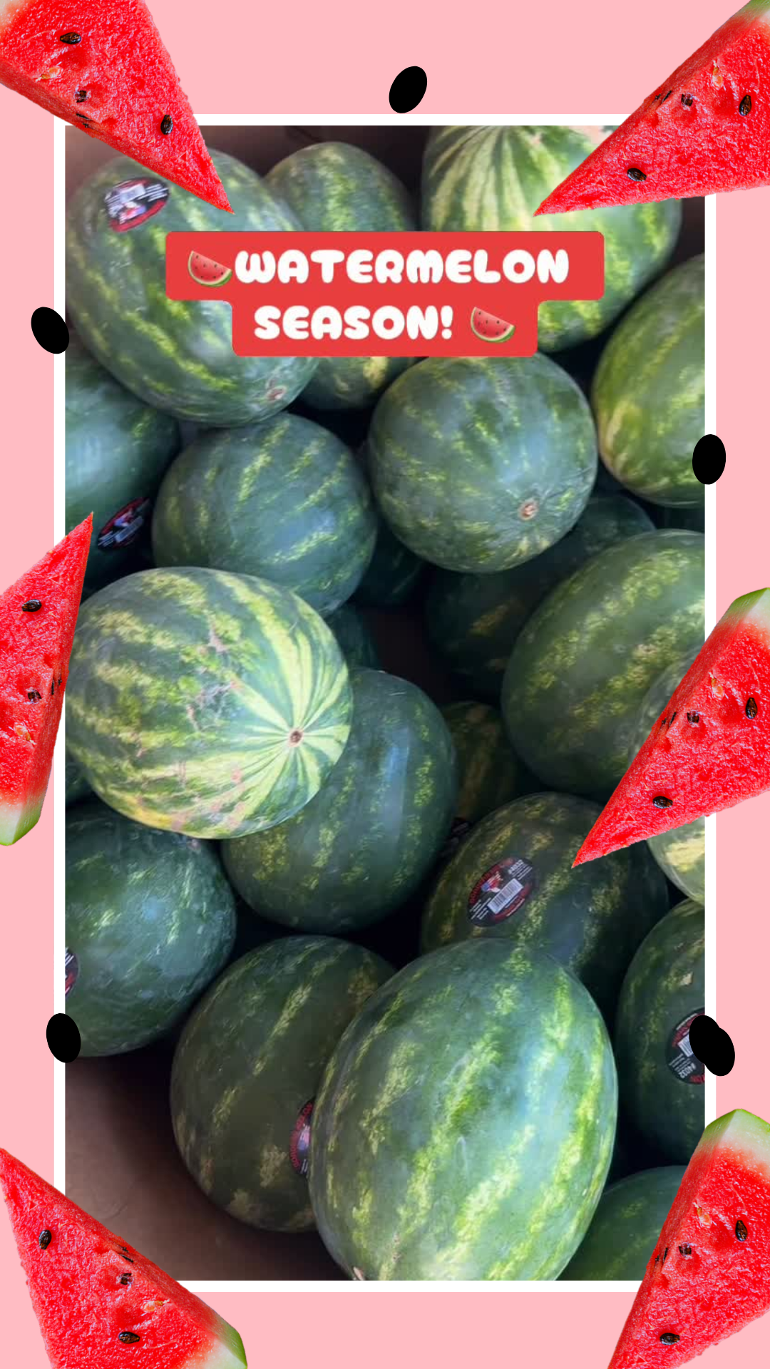 Watermelon Season 